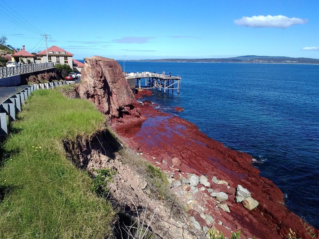 Como Lodge Merimbula Esterno foto